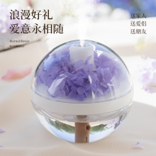 DIY永生花加湿器 床头氛围灯补水仪 节日礼品