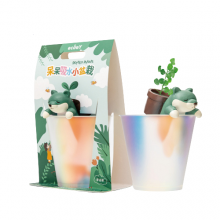 呆呆动物吸水小盆栽 DIY绿植植物摆件 桌面办公礼品