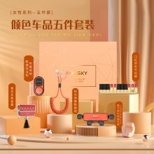 摩登都市创意倾色车品五件套（女性版）数据线+香薰+临时停车牌+车载支架+集线器 送女客户什么礼品好