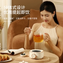 时尚简约多功能迷你养生杯 办公家用电热杯煮茶保温便携烧水杯 活动奖品送什么好