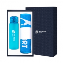 商务运动杯+毛巾两件套套装 公司礼品一般都有什么