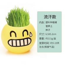 草头娃娃青草种植桌面小盆栽 办公室绿植摆件 创意小礼品