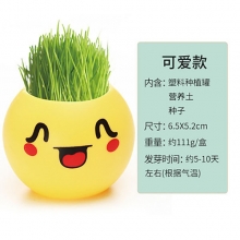 草头娃娃青草种植桌面小盆栽 办公室绿植摆件 创意小礼品