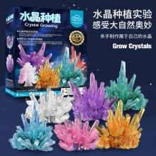 儿童趣味科学小实验DIY自种水晶手工 创意儿童节礼品