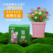 种植小盆栽盲盒 diy种子发芽植物 活动小礼品