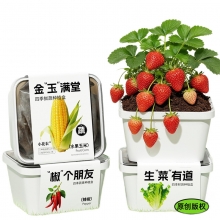 四季蔬果种植盒 栽迷你果园桌面绿植 活动小礼品